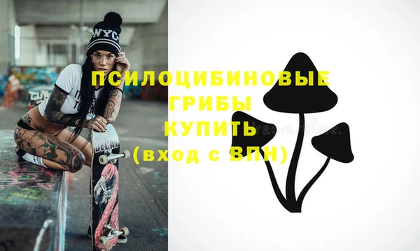 кристаллы Заводоуковск