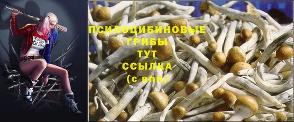 каннабис Заволжск