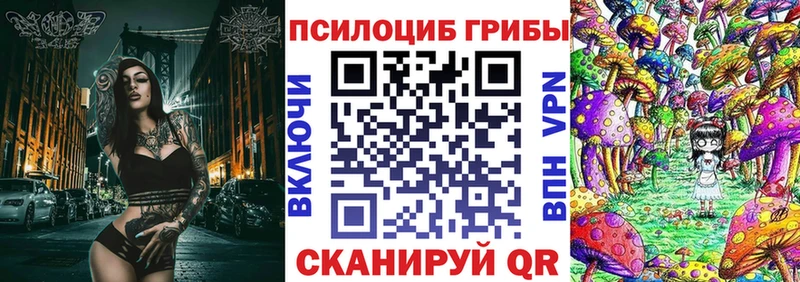 Псилоцибиновые грибы Psilocybe  Купить где  Любим 